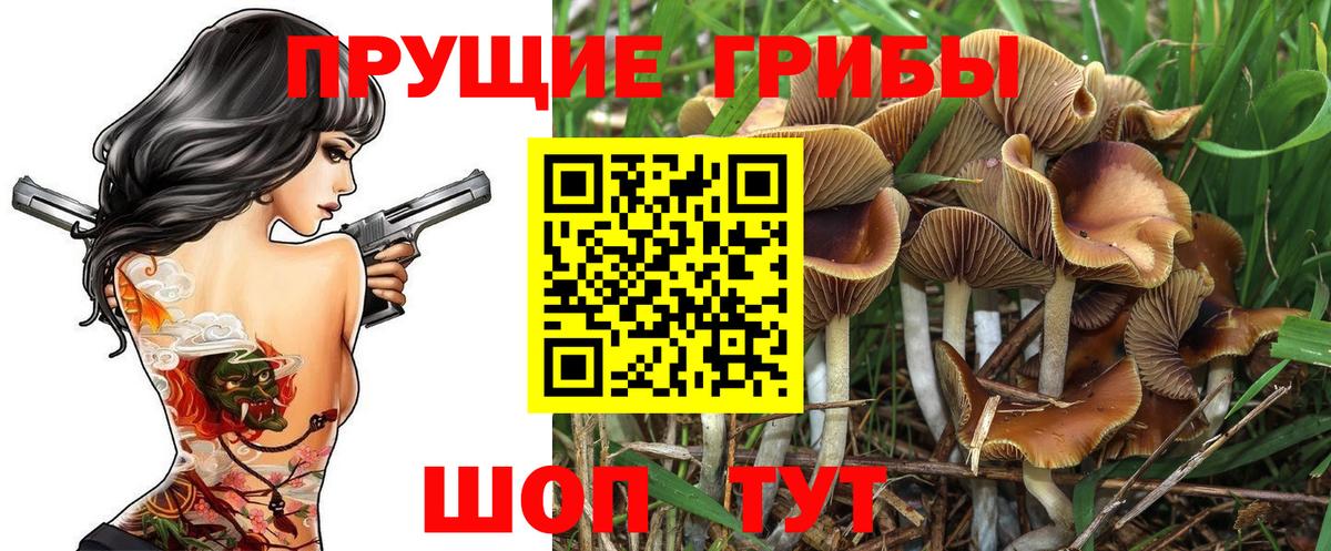Псилоцибиновые грибы Magic Shrooms Ивантеевка