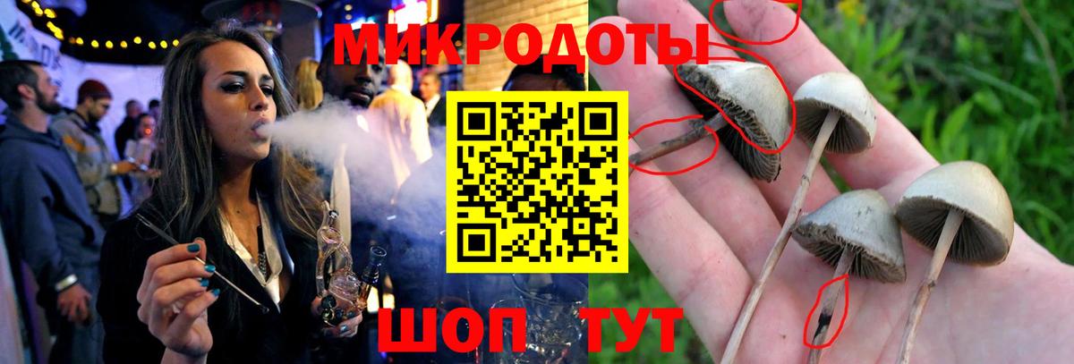 Псилоцибиновые грибы мухоморы  Вход с VPN  Ивантеевка 